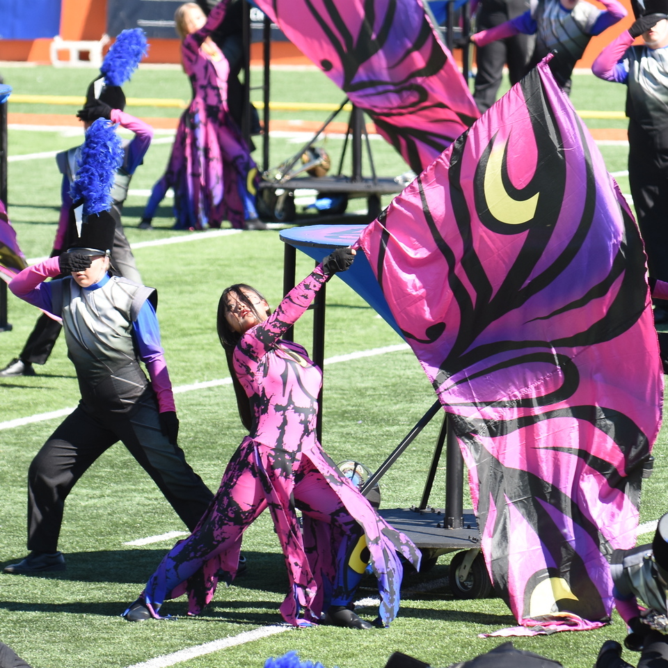 people preforming with flags